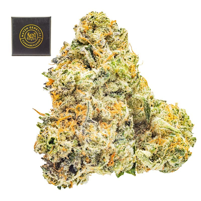 Chem 51