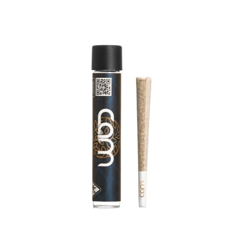 Scotties Cake Pre-roll