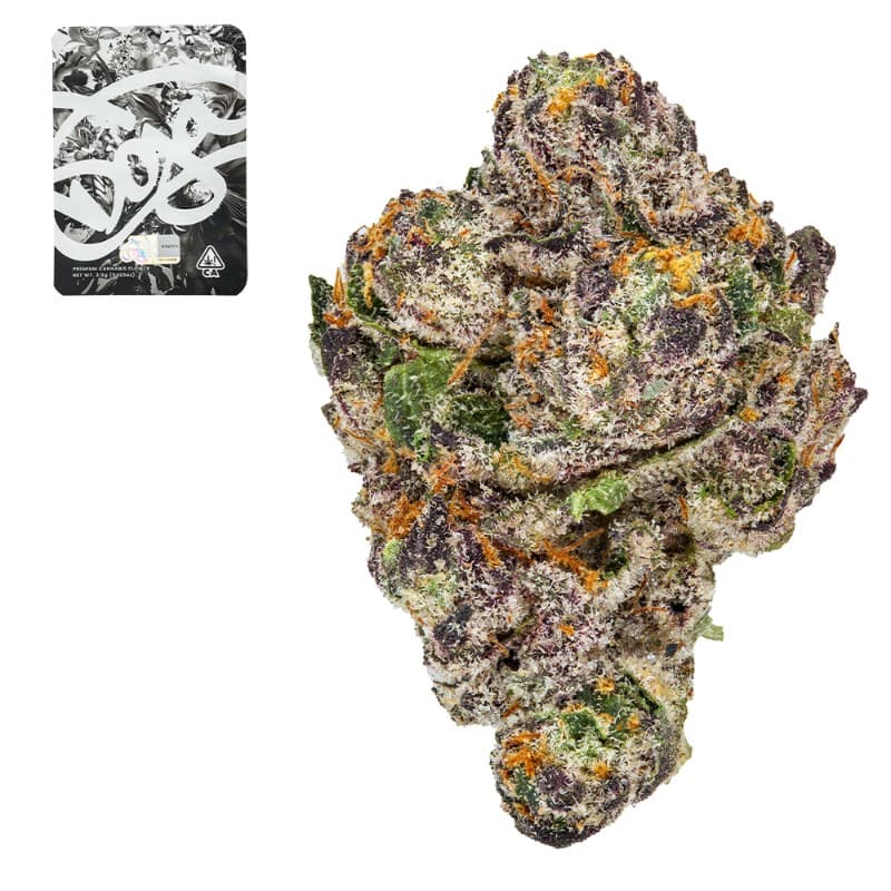 Gelato 41