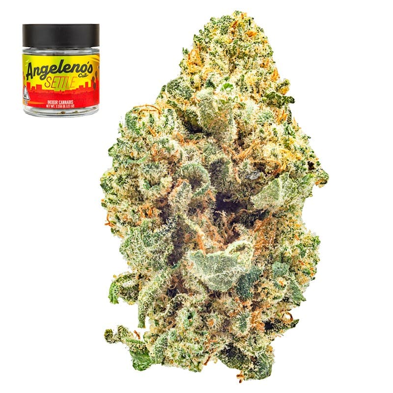DosiKush