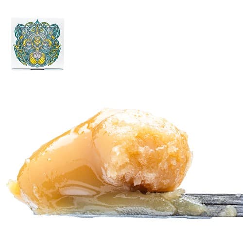 Double Papaya Runtz Rosin (Tier 3)