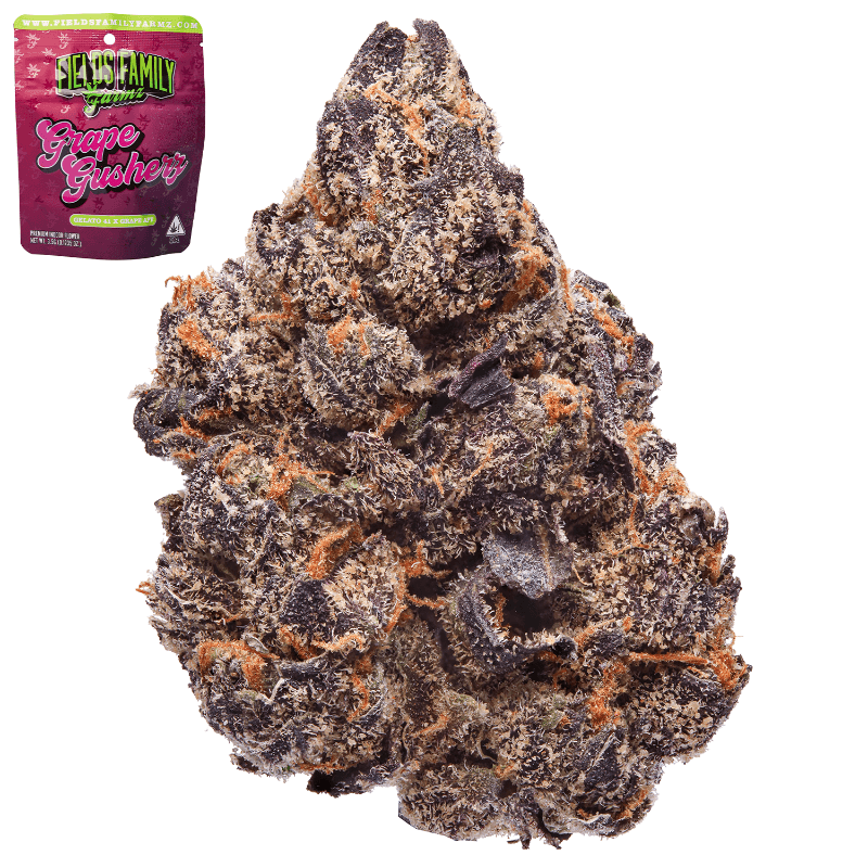 Grape Gusherz