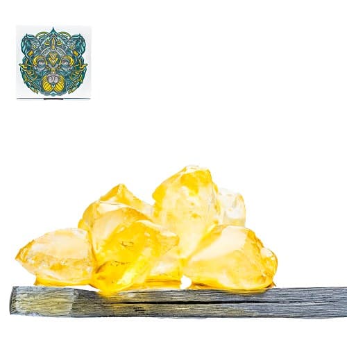 Fatso x Mango Biche Diamonds (Tier 2)