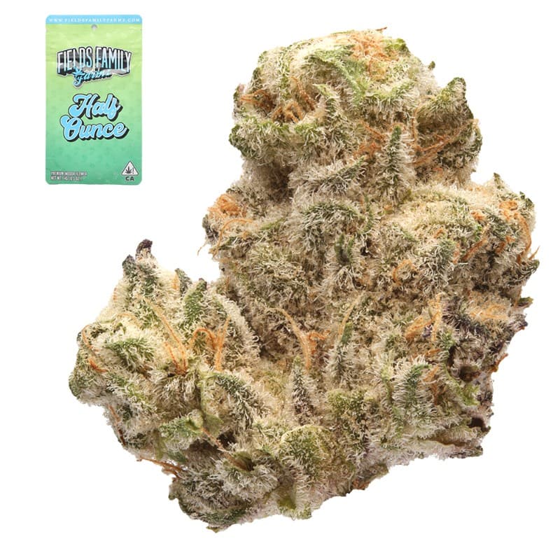Jokerz 31 Half Ounce
