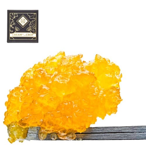 Gastopia Sugar