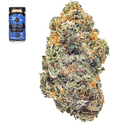 Gastopia Half Ounce Smalls