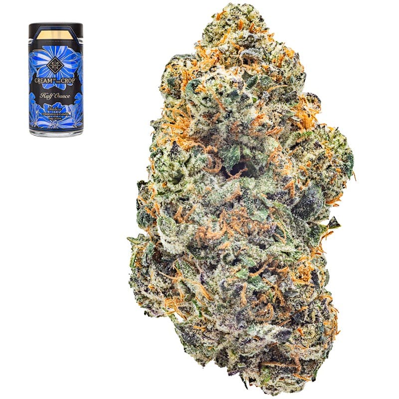 Gastopia Half Ounce Smalls