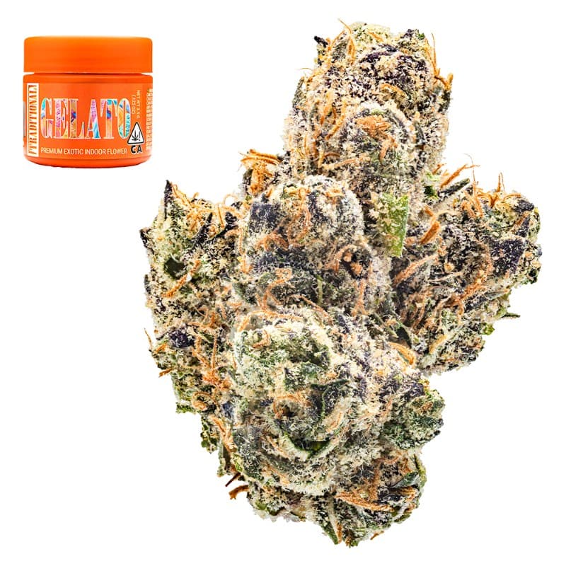 Gelato