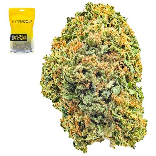 Gelato 41 Half Ounce