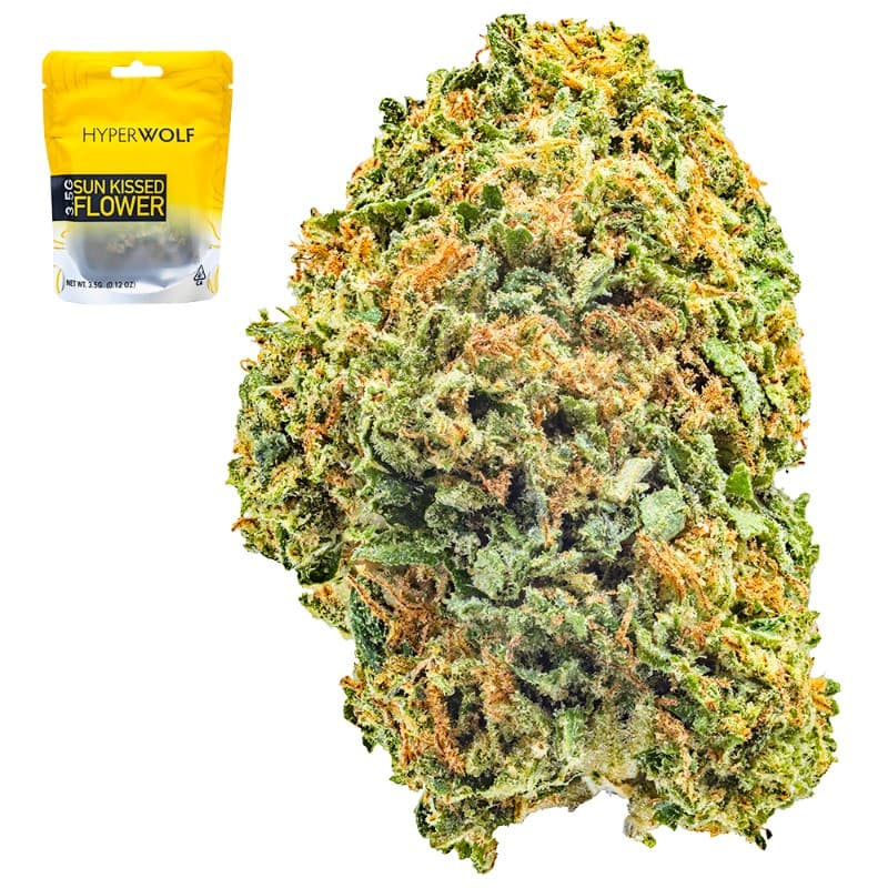 Gelato 41
