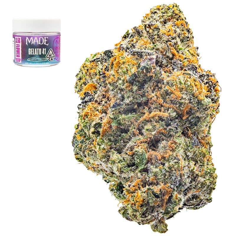 Gelato 41