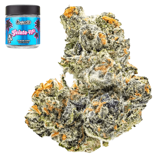 Gelato 41