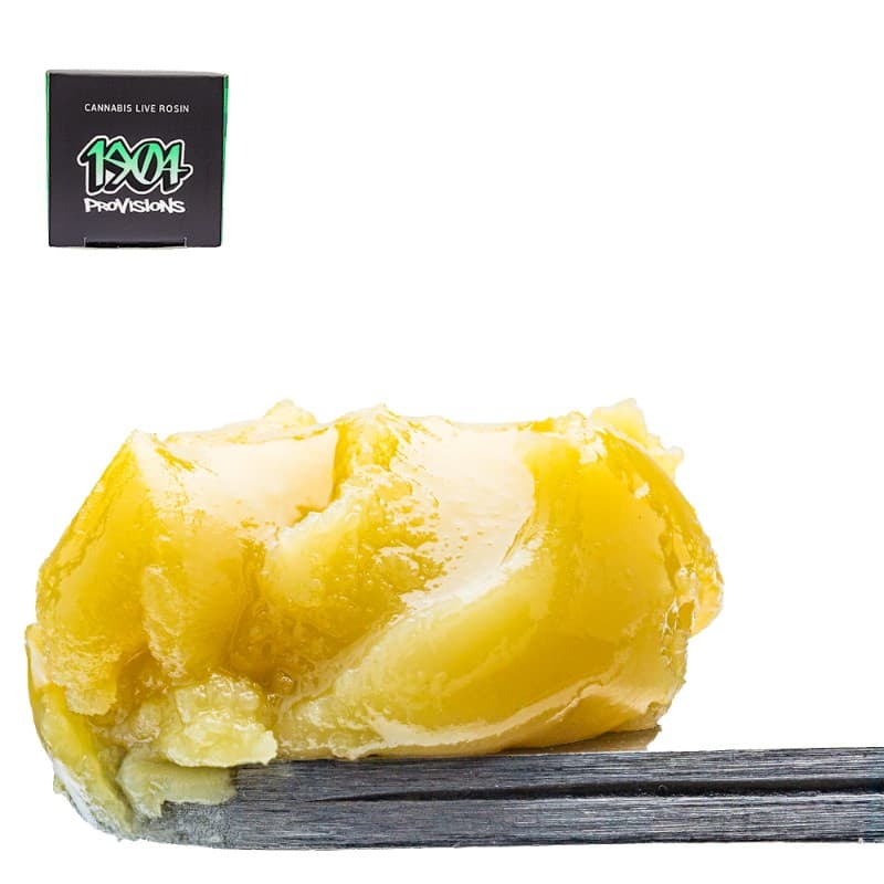 Governmint Oasis Live Rosin