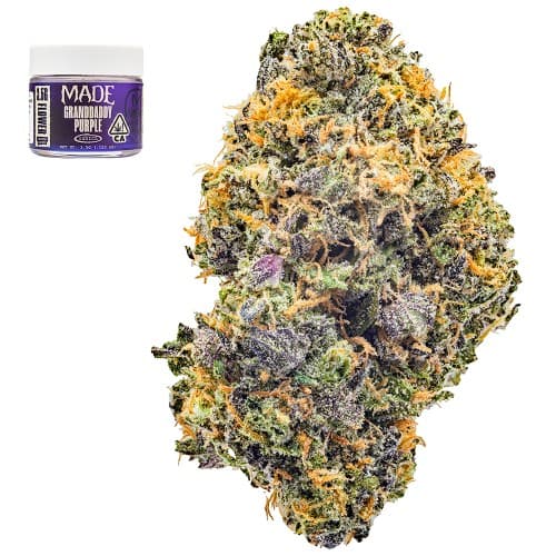 Granddadduy Purple