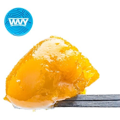 Gelato 33
