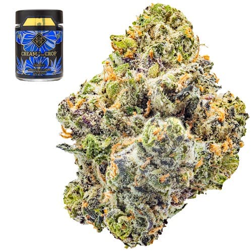 Grape Kush Mintz