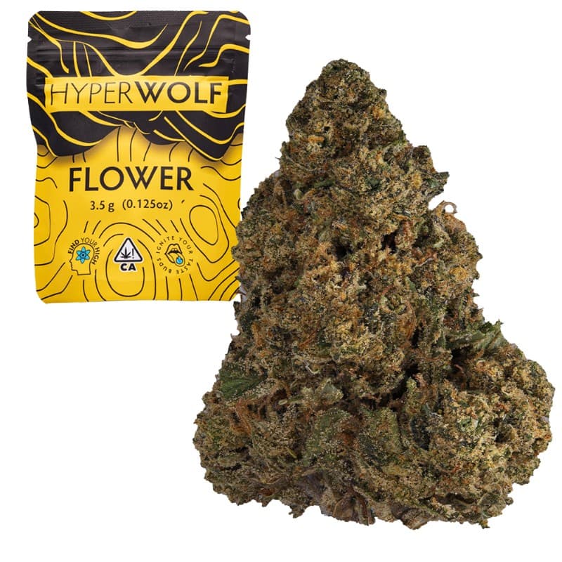 Lemonade X LPC #75