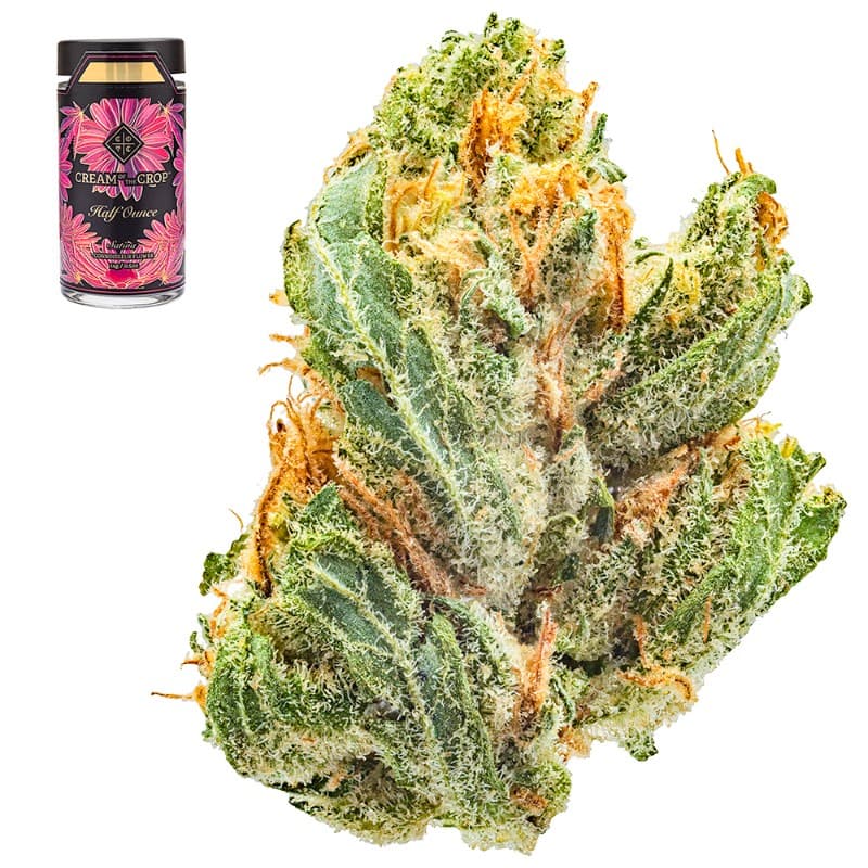 Jack Herer Half Ounce Smalls