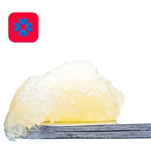 Blackout Grape Badder