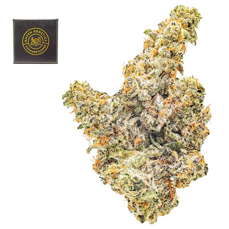 Key Lime Jack (Clearance)