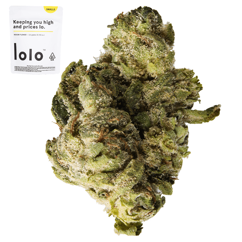 Gelato x Z Smalls