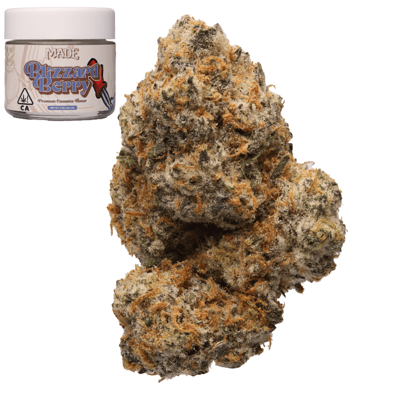 Blizzard Berry