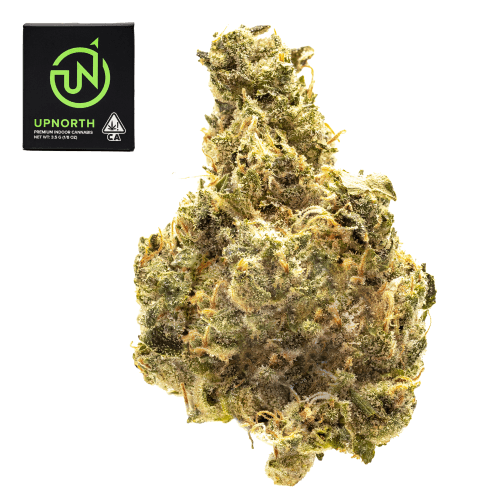 Master Kush