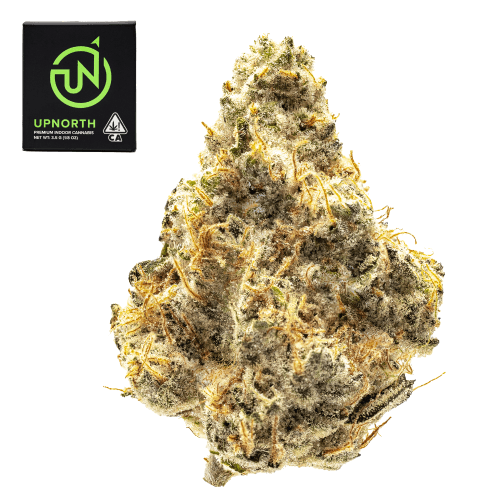 Platinum Afghani