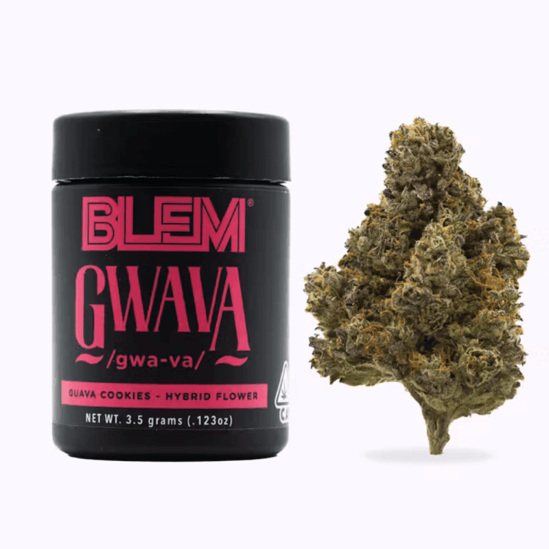 Gwava