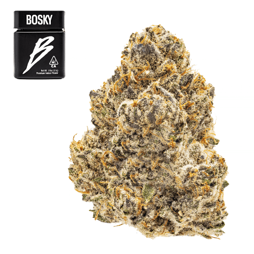 Cherry Kush x Biscotti x Sherb