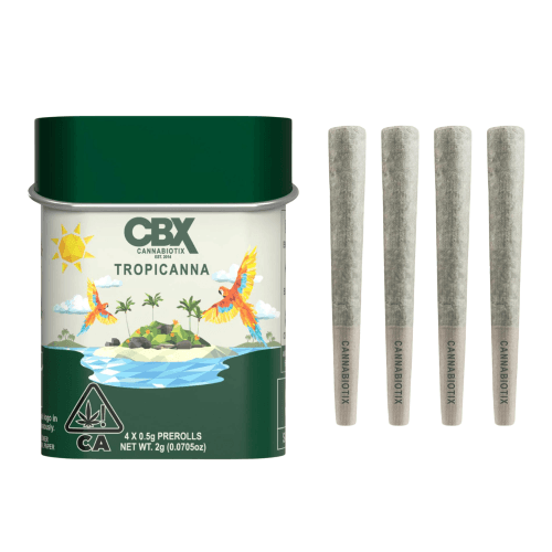 Tropicanna 4-Pack