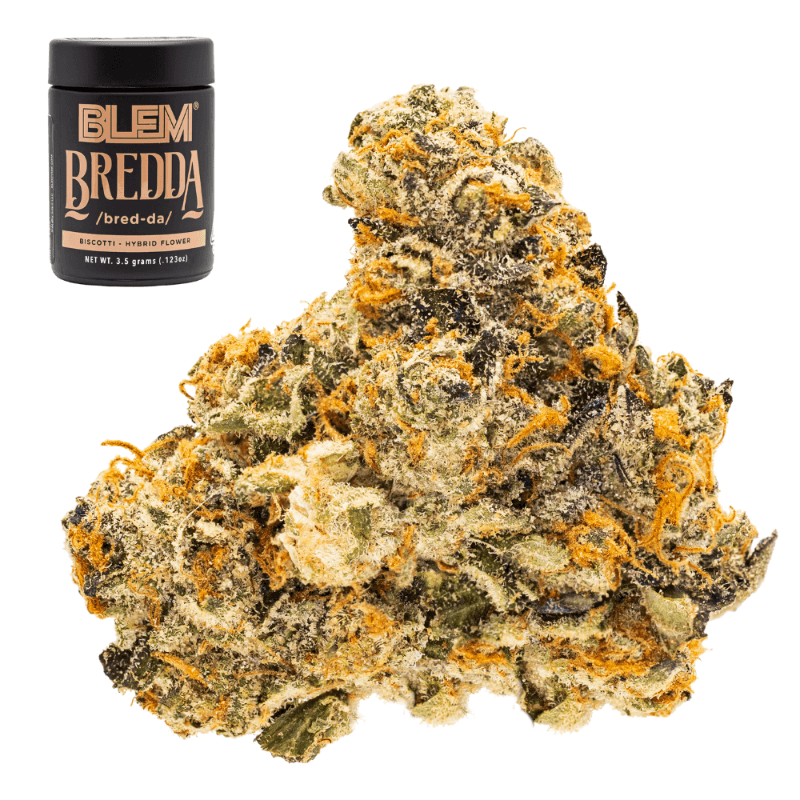 Bredda