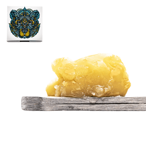 Lemon Zcone Live Rosin (Tier 3)