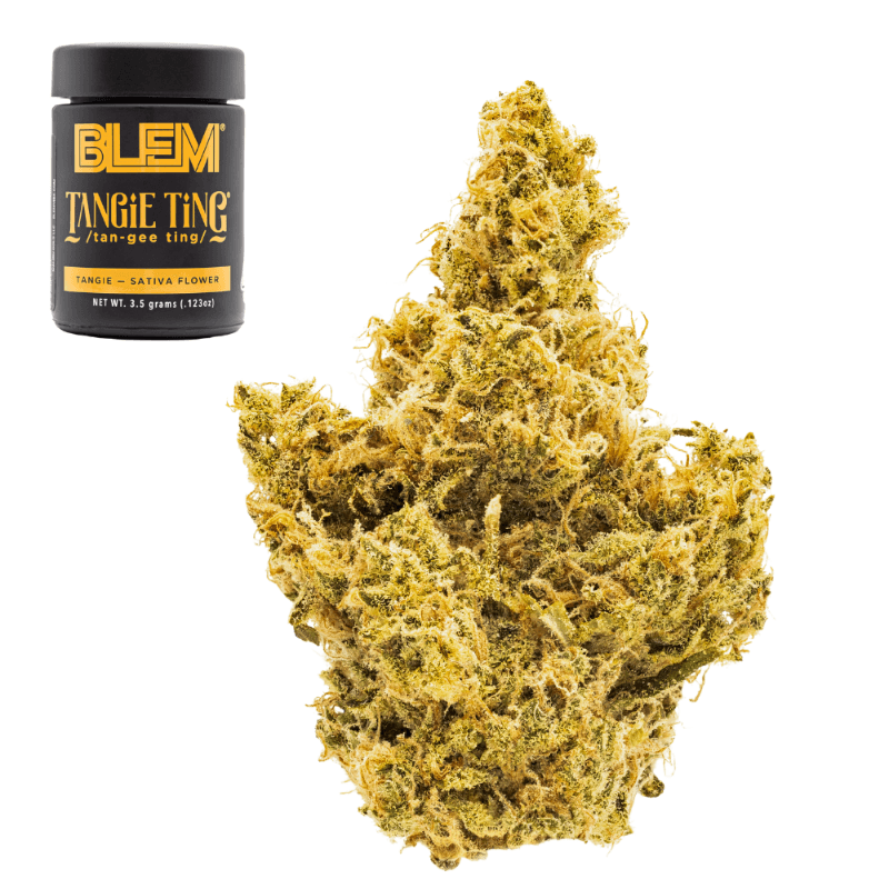 Tangie Ting