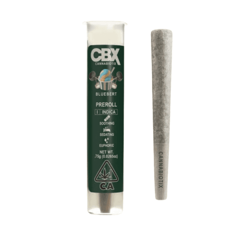 Bluebert Pre-Roll