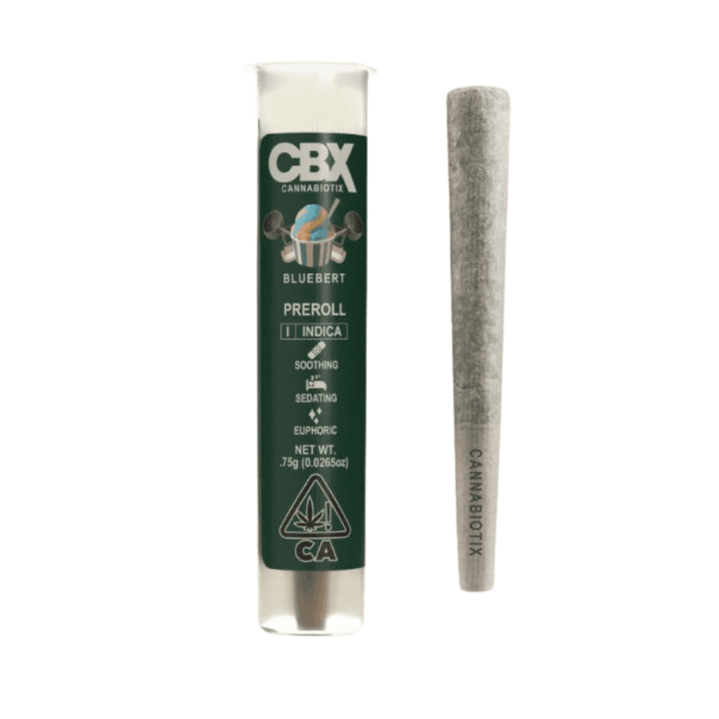 Bluebert Pre-Roll