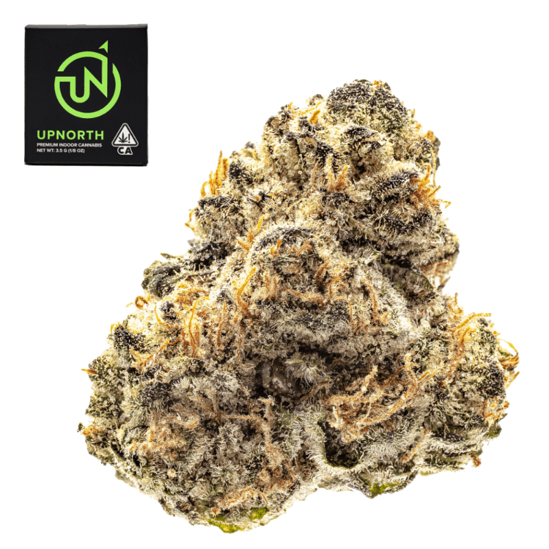 Granddaddy Purple