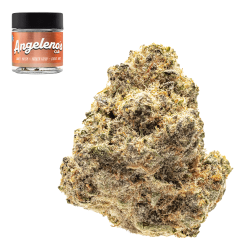 Tropical Tangie