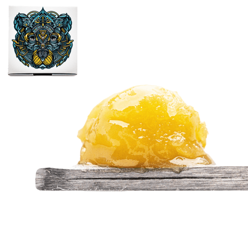 Blue Lilac Budder (Tier 4)