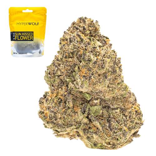 Dragons Blood Hashplant
