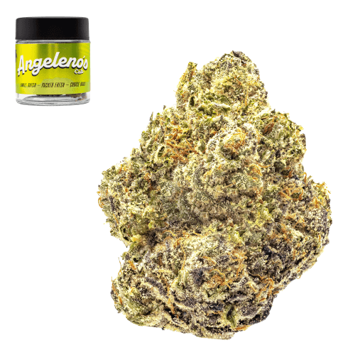 Bubblegum Gelato