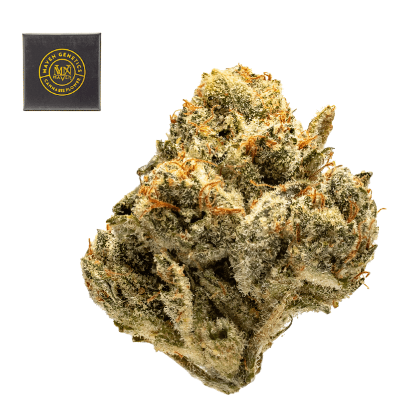 SFV OG
