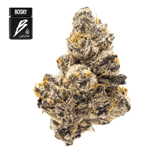 Biscotti x Guava Runtz