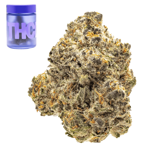 Gorilla Goo