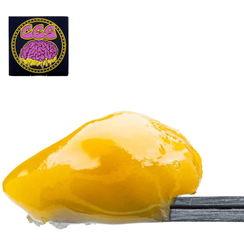 Romulan Budder