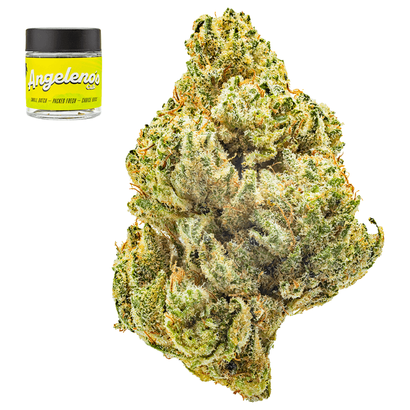 Gorilla Glue #4