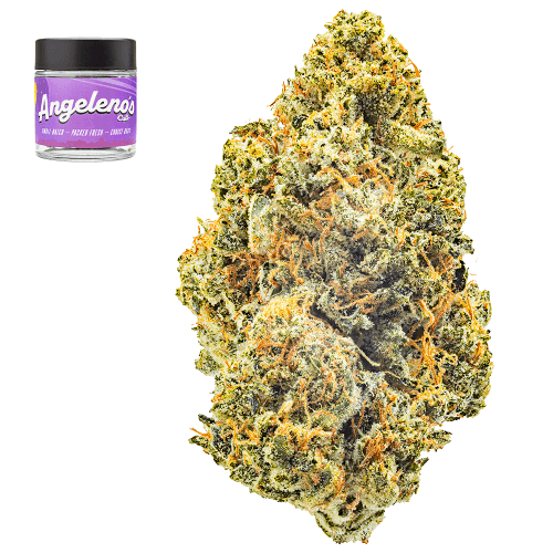 Mamba OG