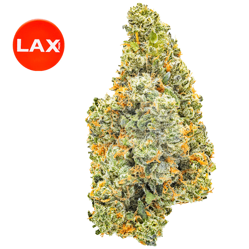 Tangie Fever