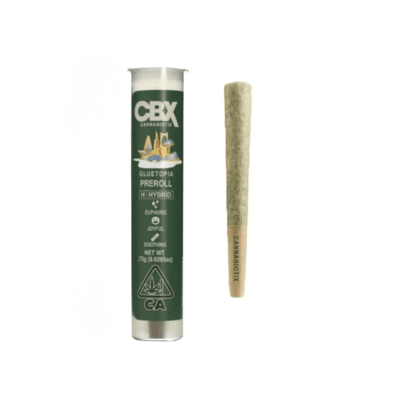 Gluetopia Pre-Roll