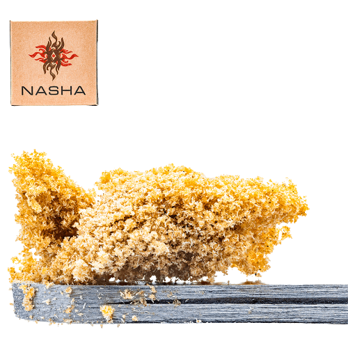 Papaya Punch Unpressed Hash